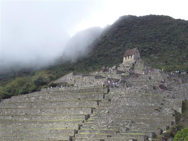 Perfect for an Alpaca fashion show ...?